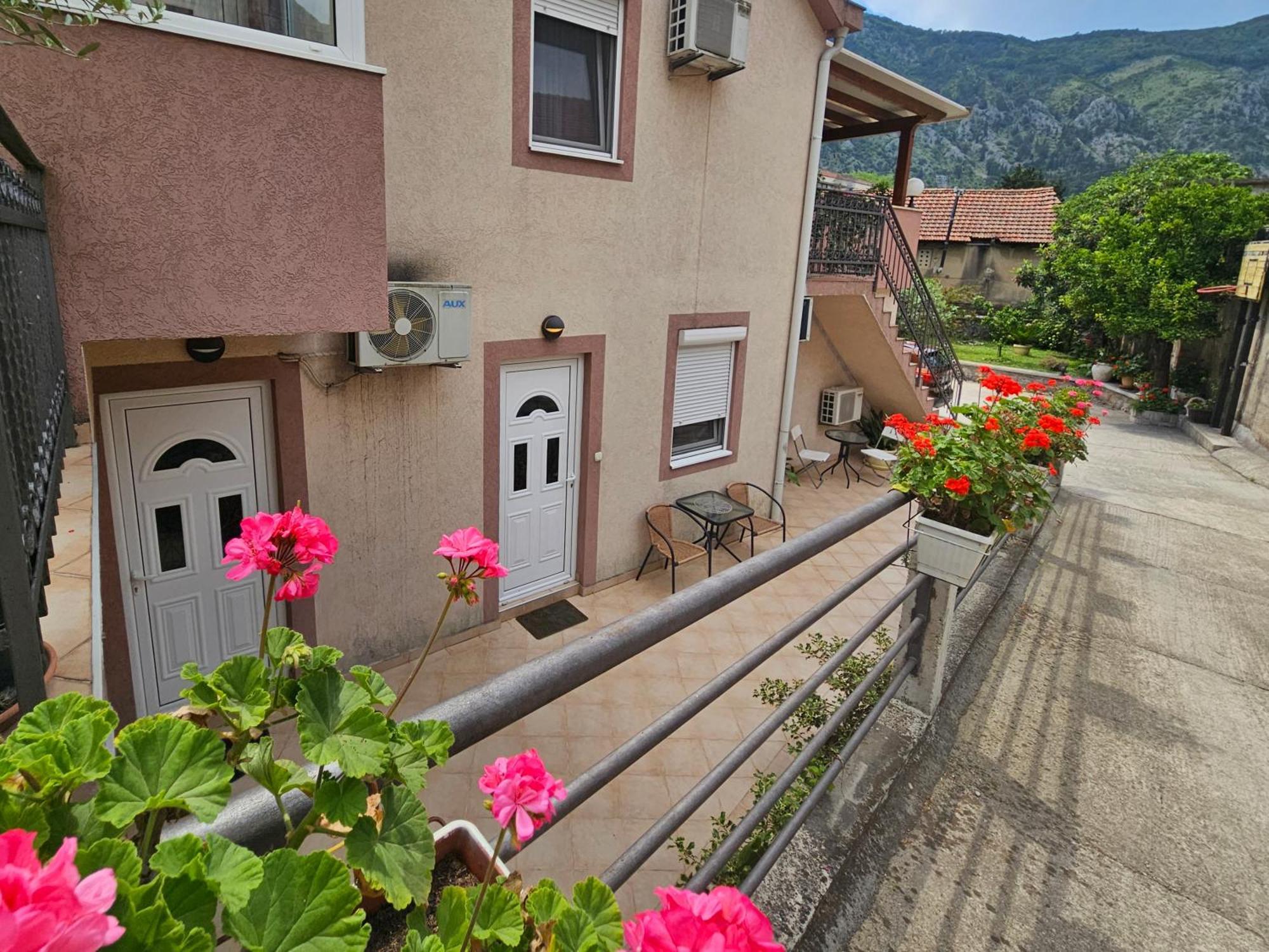 Apartment Aleksandar Kotor Buitenkant foto